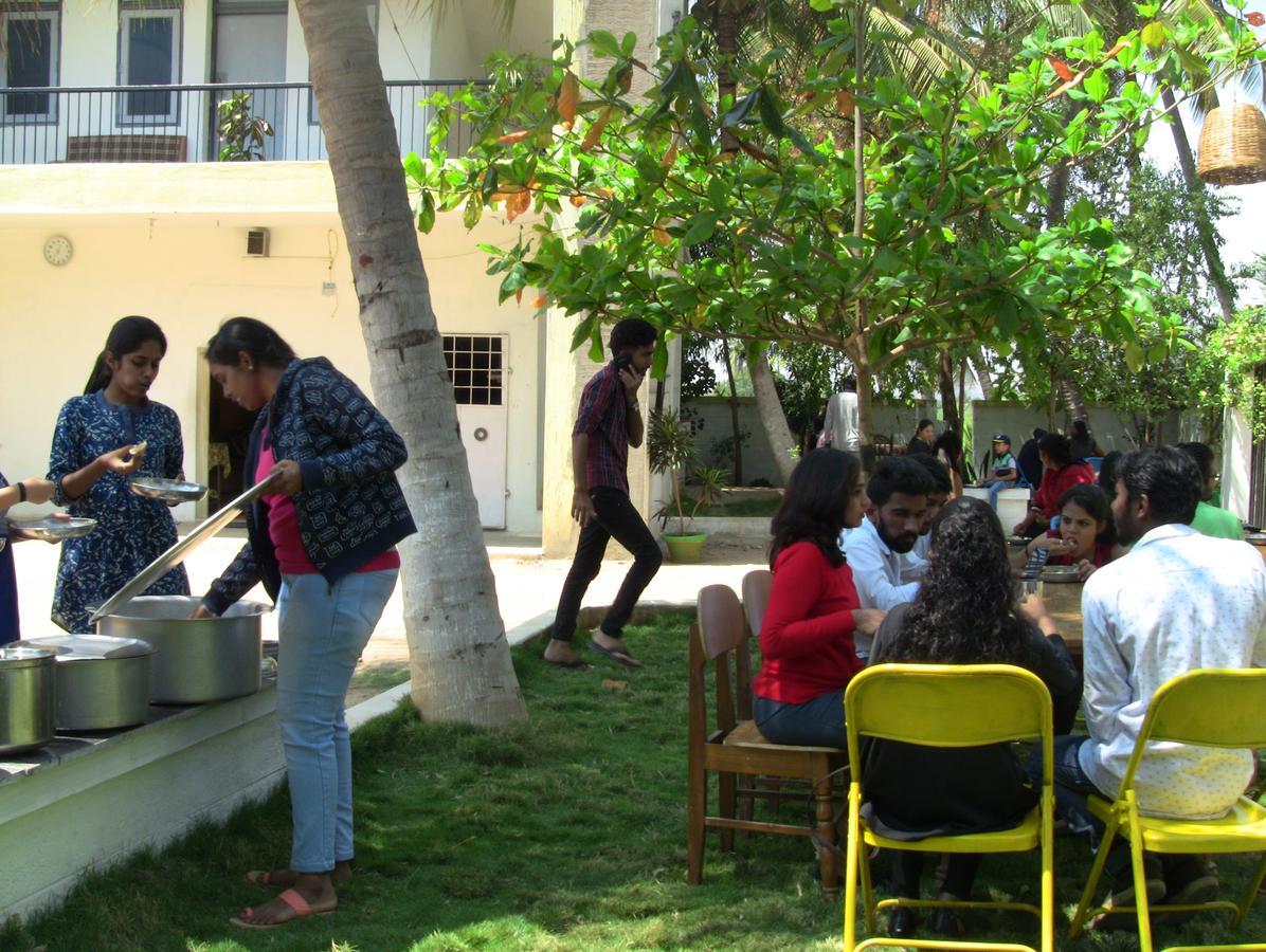 Holiyday In Vgf * Danishpet