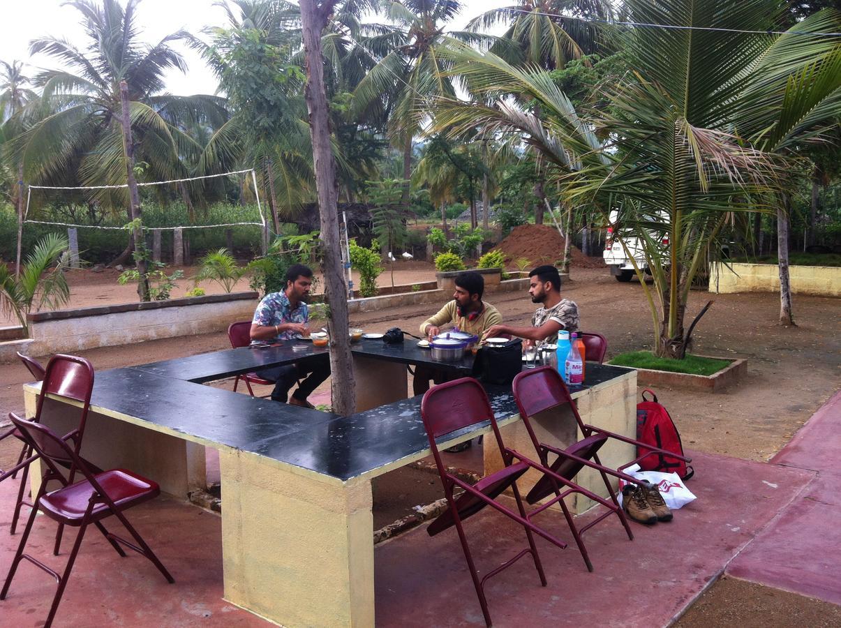 Holiyday In Vgf * Danishpet