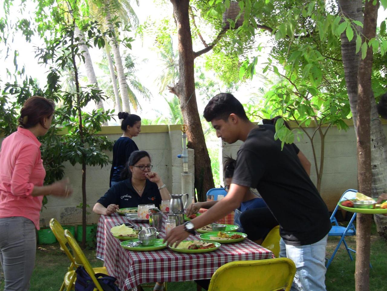 Holiyday In Vgf